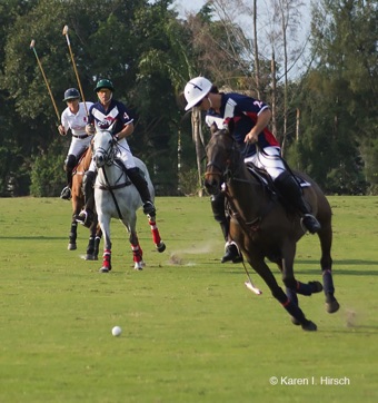 Polo player on horse approaching the ball